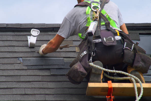 Best Roof Gutter Cleaning  in Douglas, AZ